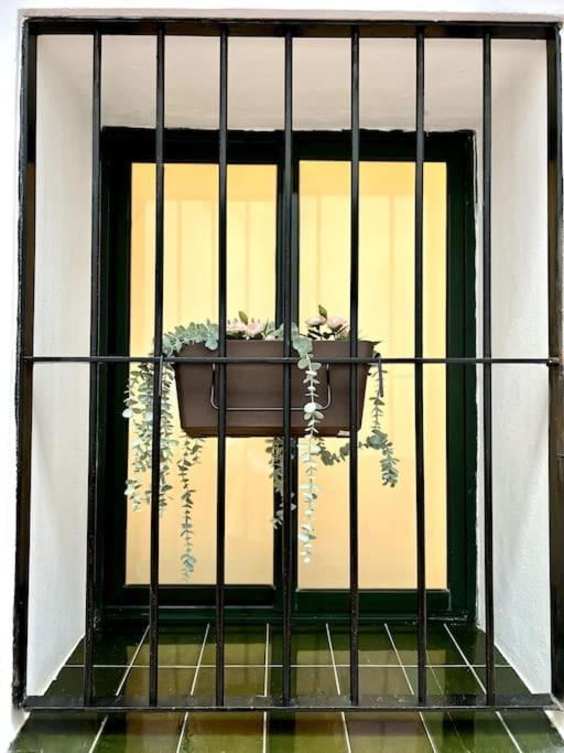 Auxiliadora Luxury Apartman Sevilla Kültér fotó